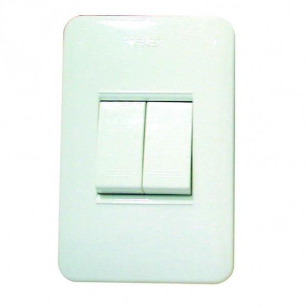 Doble interruptor de superficie en blanco con tripas fabricadas en bakelita